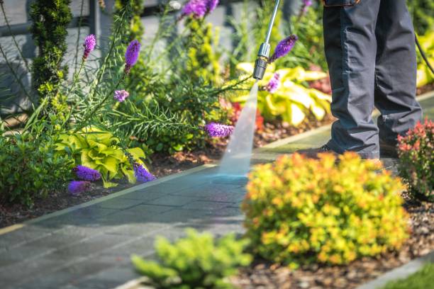 Best Factory Floor Cleaning  in Round Lake Park, IL